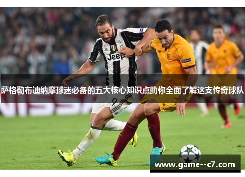 萨格勒布迪纳摩球迷必备的五大核心知识点助你全面了解这支传奇球队