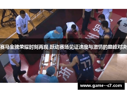 赛马金牌荣耀时刻再现 跃动赛场见证速度与激情的巅峰对决