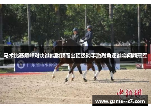 马术比赛巅峰对决谁能脱颖而出顶级骑手激烈角逐谁将问鼎冠军