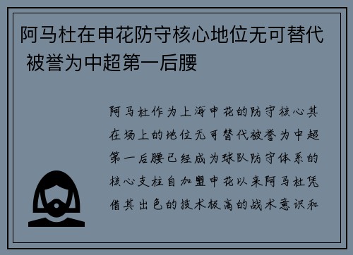 阿马杜在申花防守核心地位无可替代 被誉为中超第一后腰